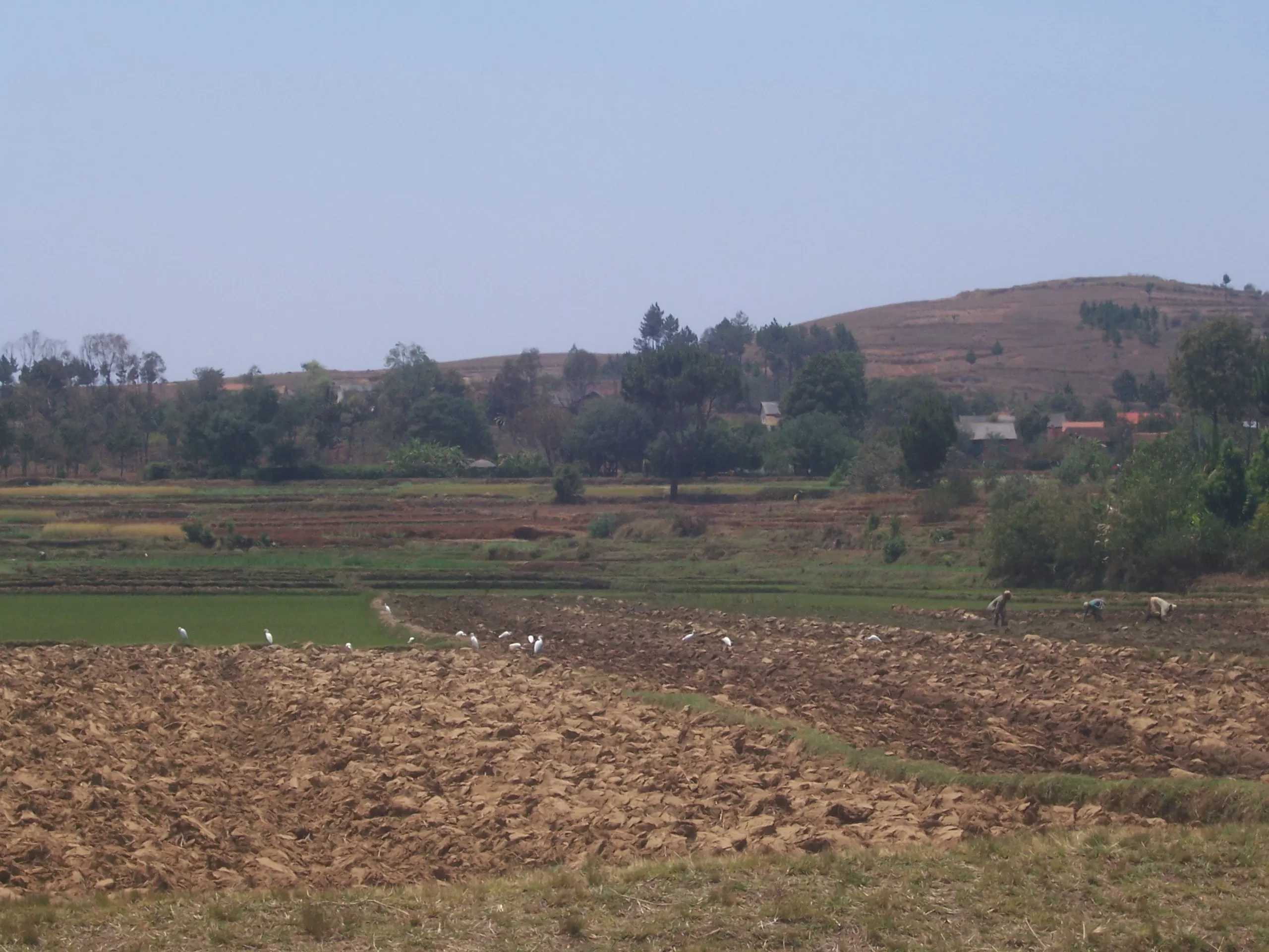 Titres fonciers Madagascar