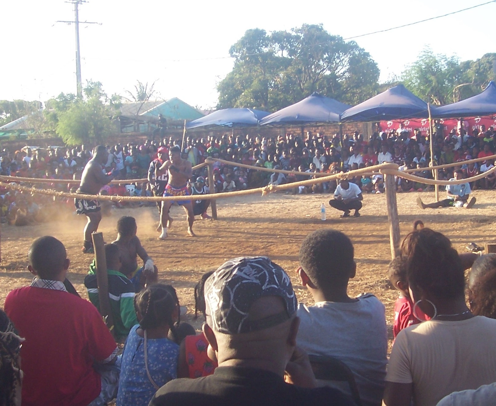 Description de l'image