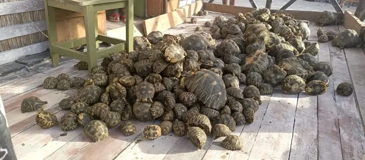 fanondranana sokatra tsy ara-dalana