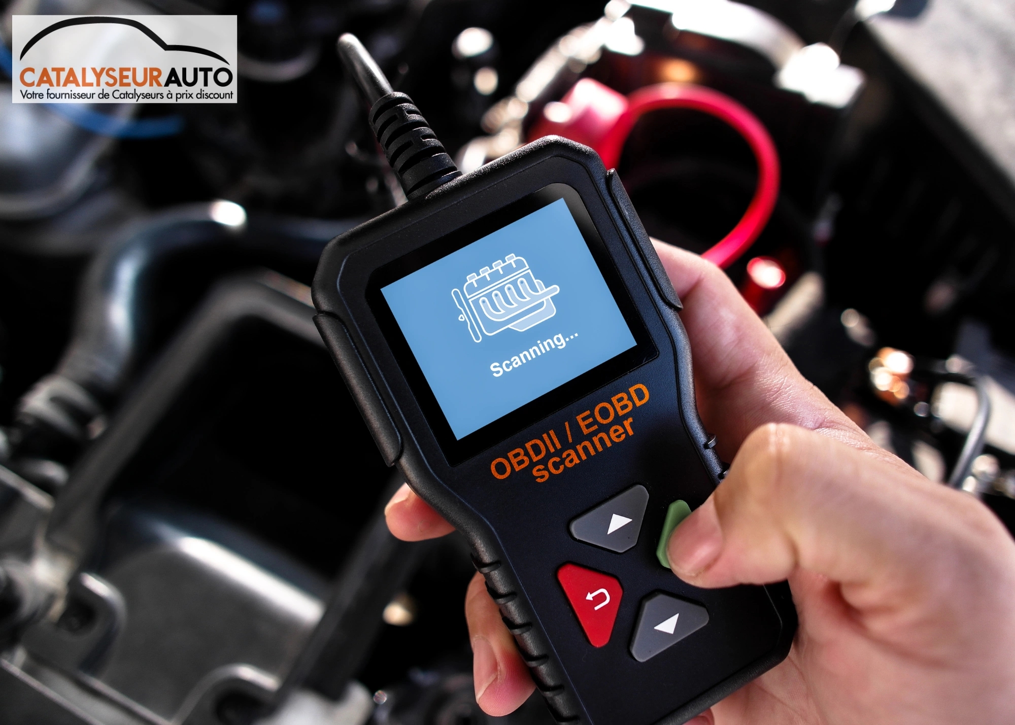 Description de l'image