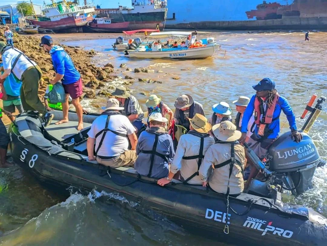 Description de l'image