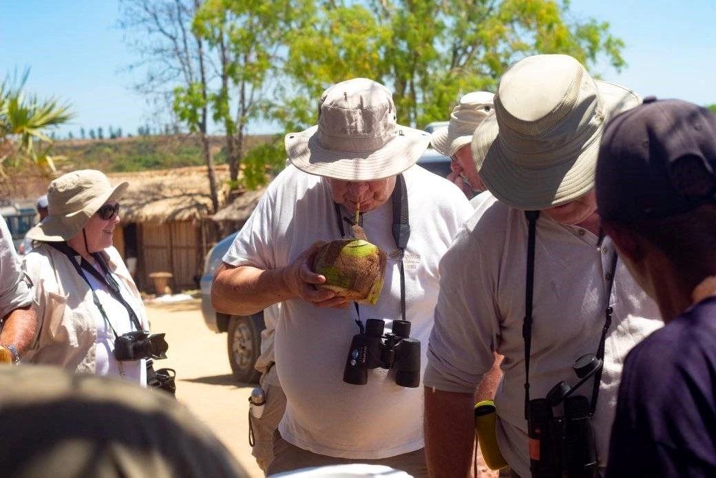 Description de l'image