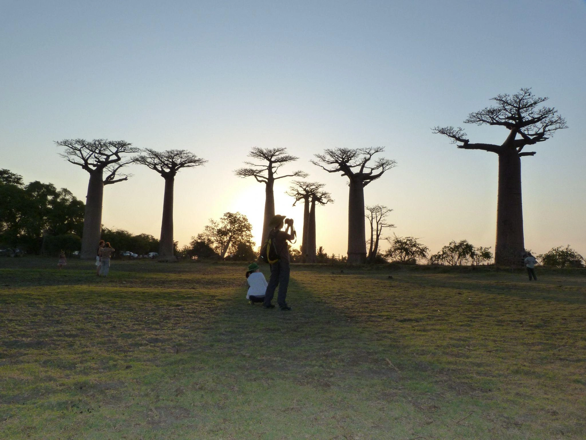 Biodiversité exceptionnelle de Madagascar