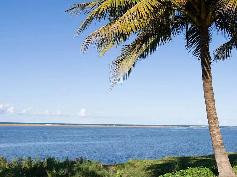 Rencontres investisseurs et producteurs — Farafangana Festival