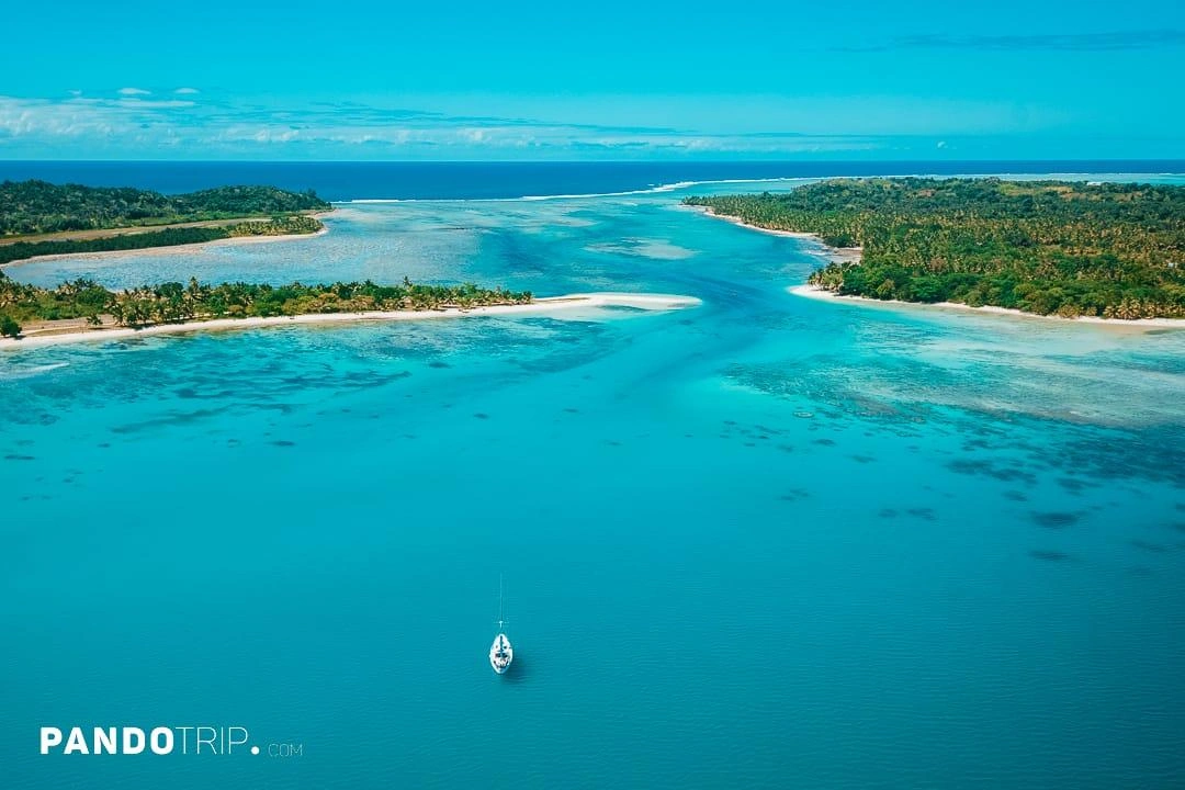 Baleines à bosse — Océan Indien Madagascar