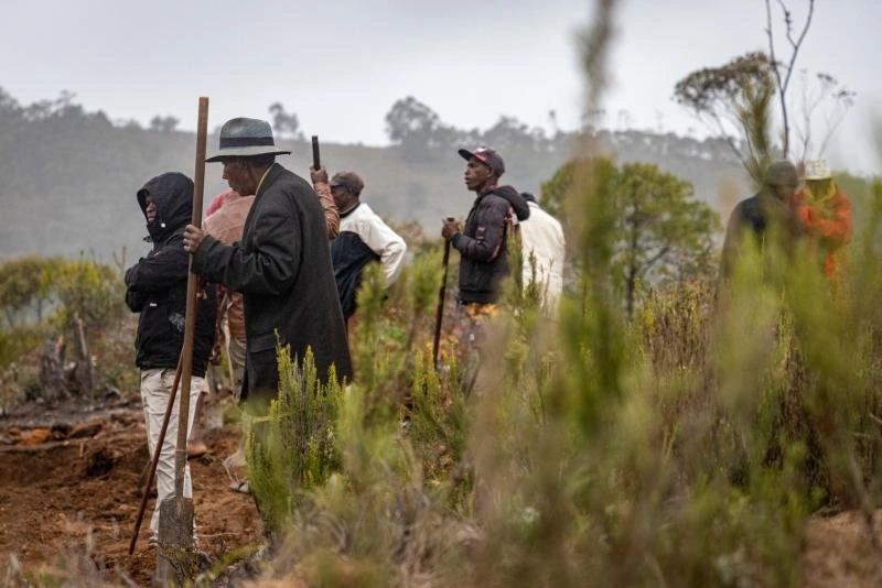 Innovations environnementales — Madagascar 2026