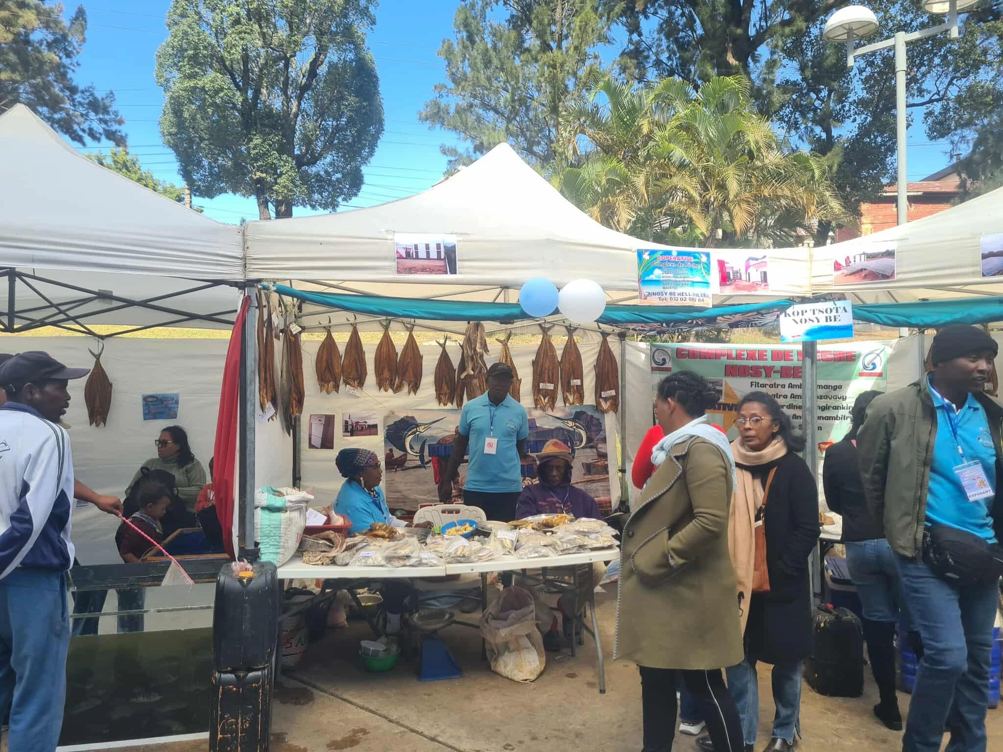 Description de l'image