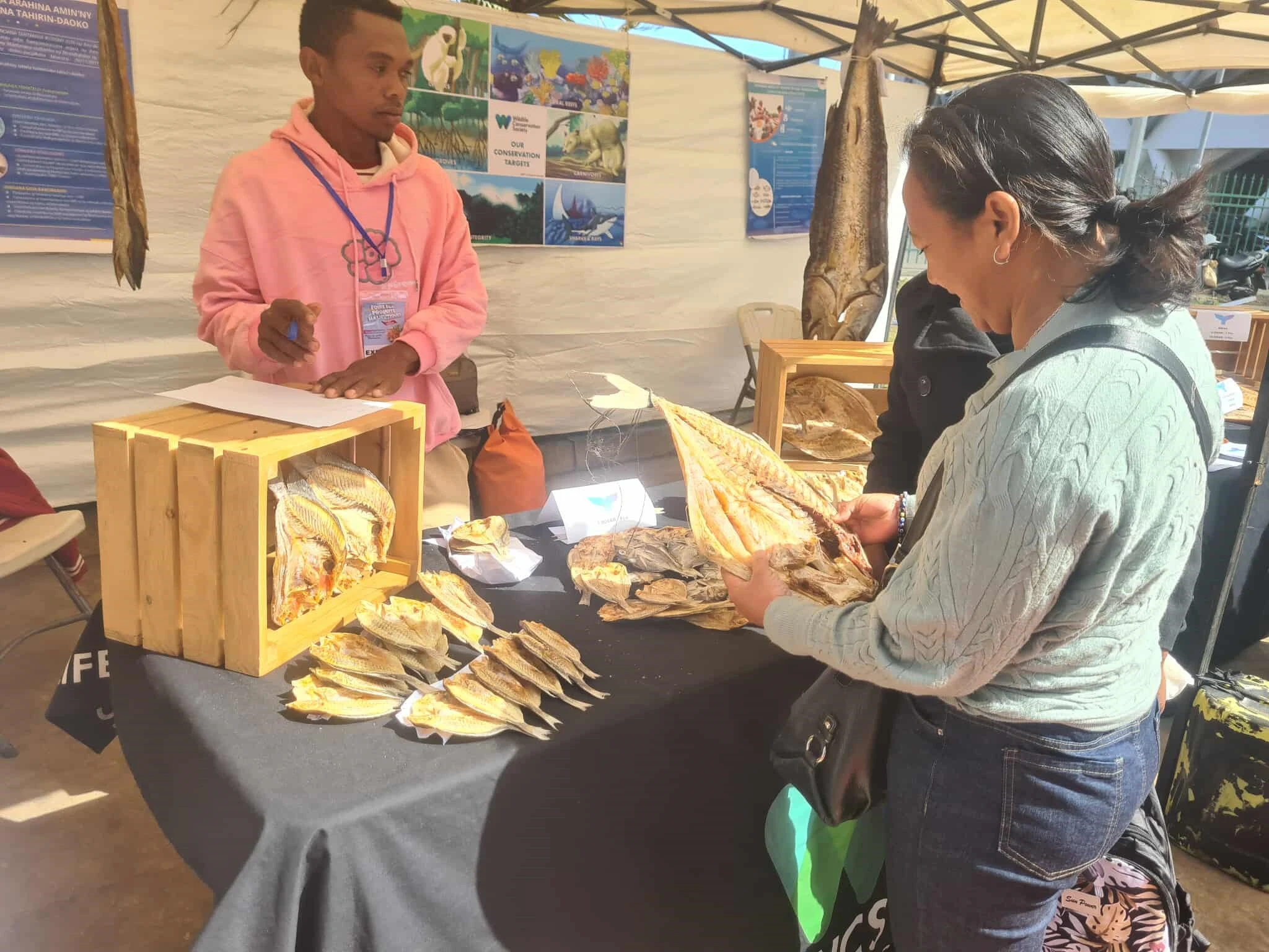 Description de l'image