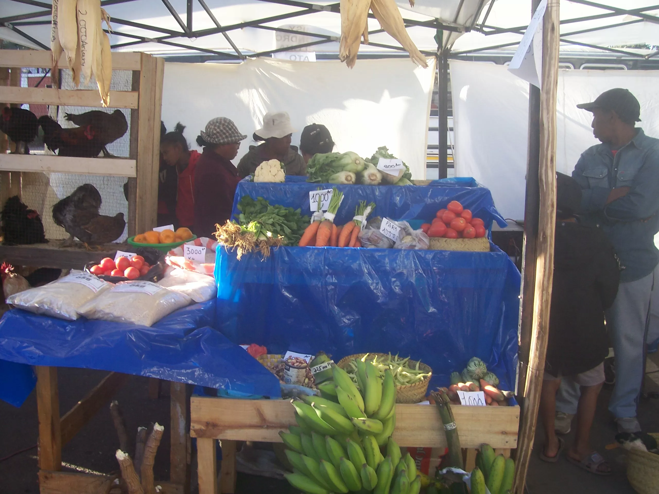 Description de l'image