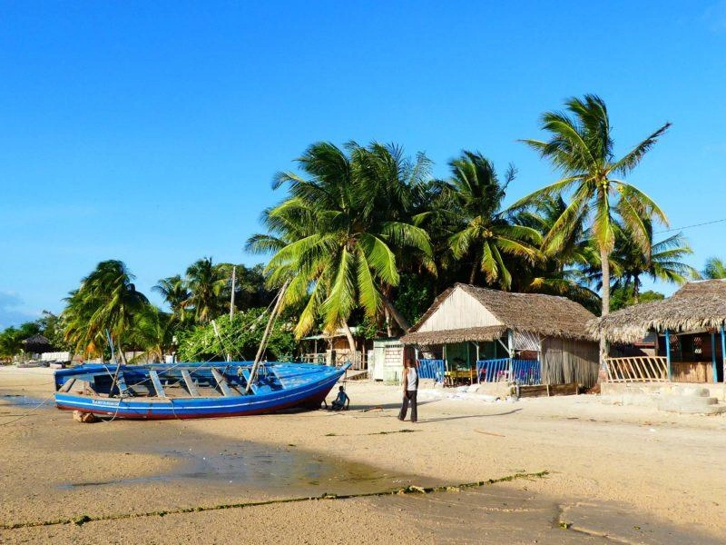 Toekarena fizahantany — Madagasikara 2028