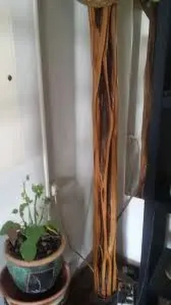Mpanjakabenitany
