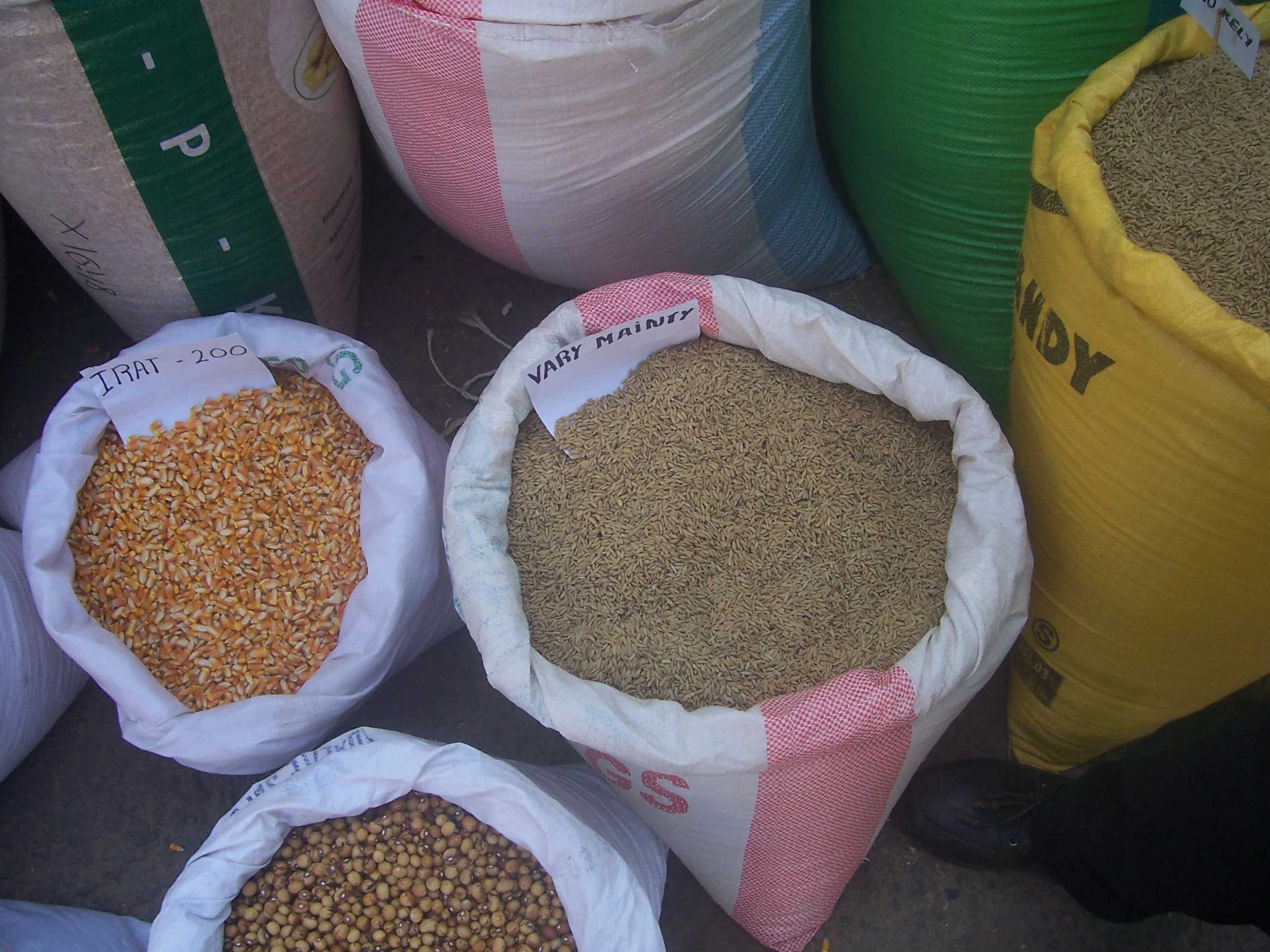 Description de l'image