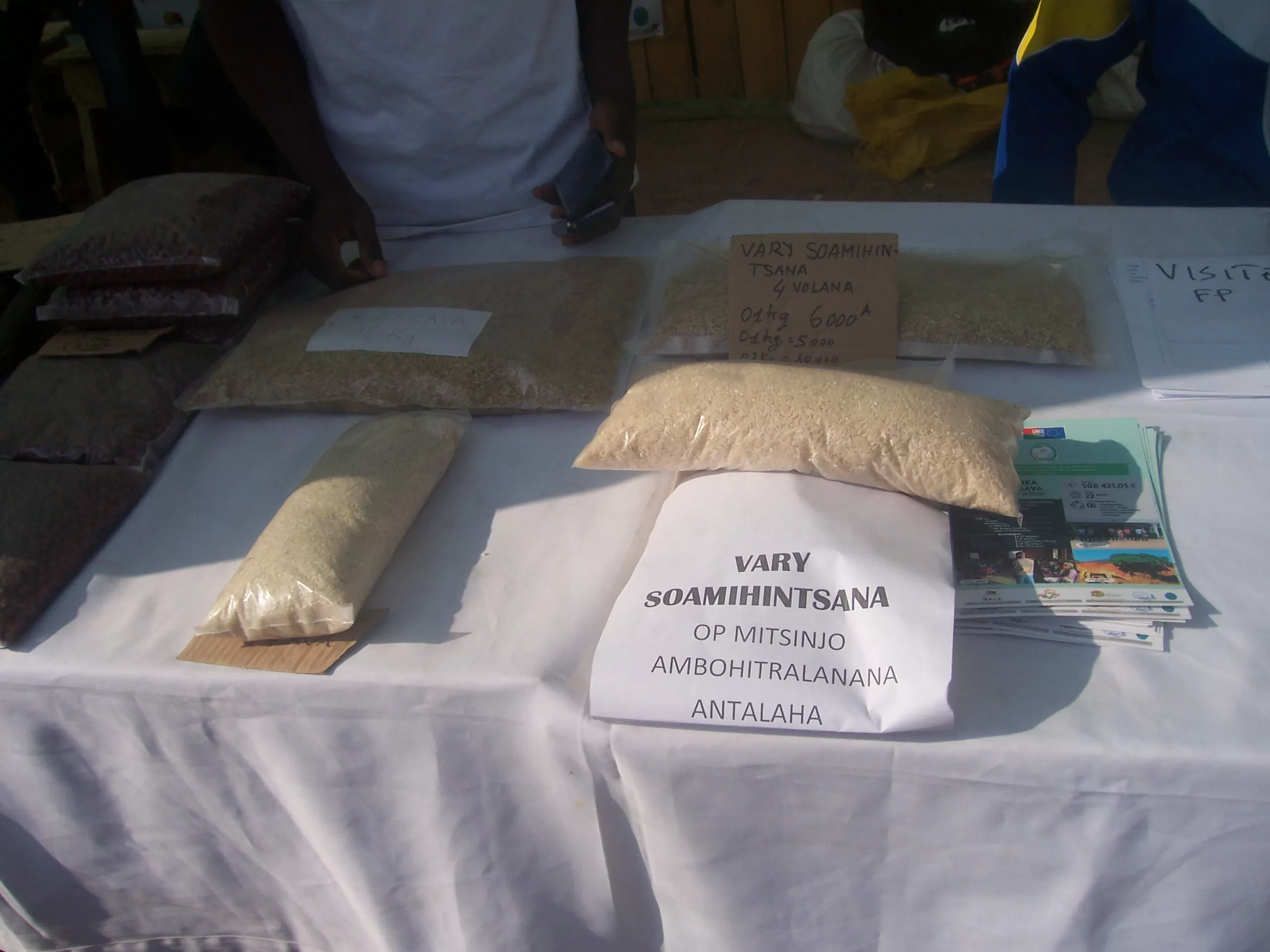 Description de l'image