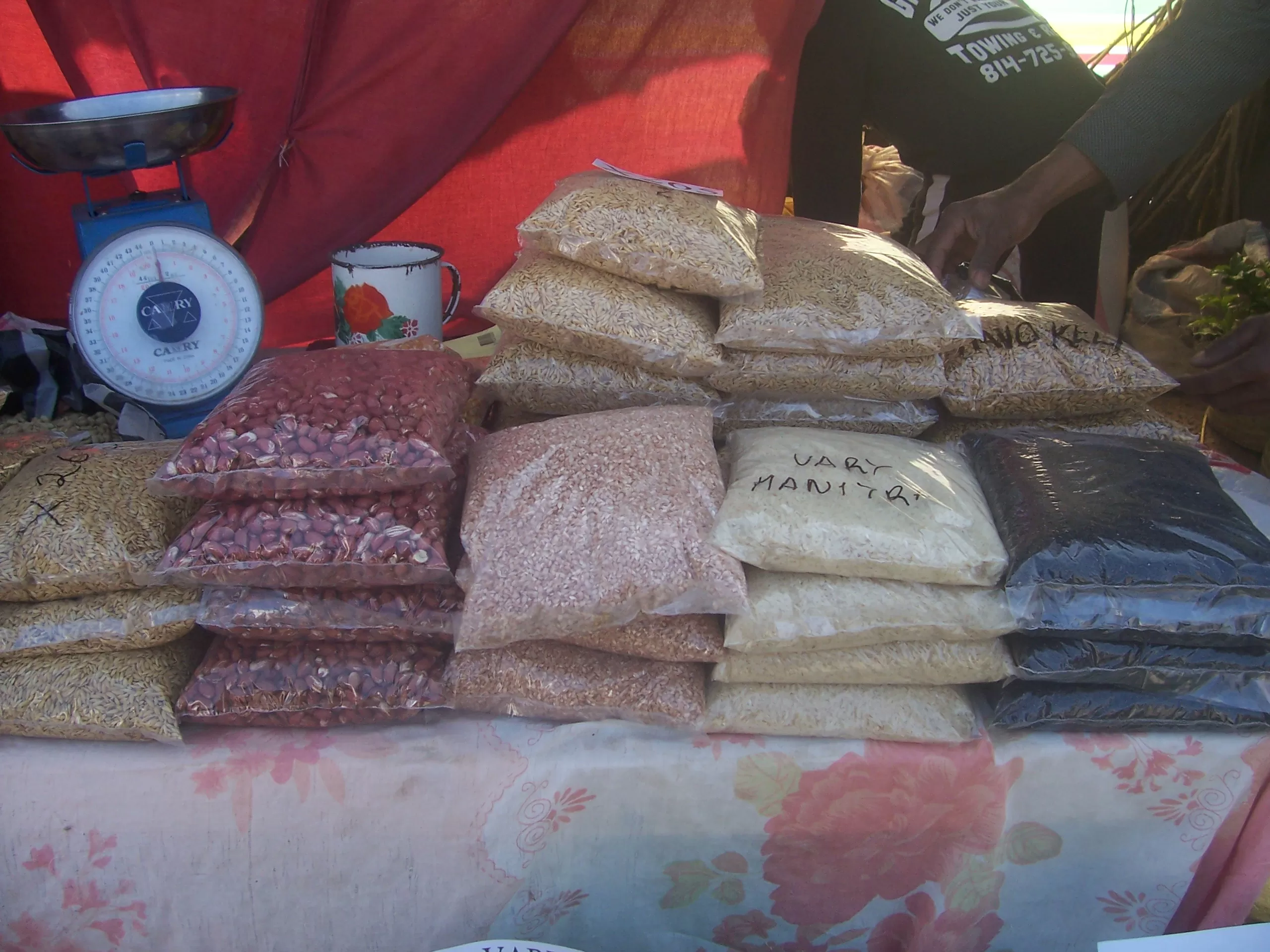 Description de l'image