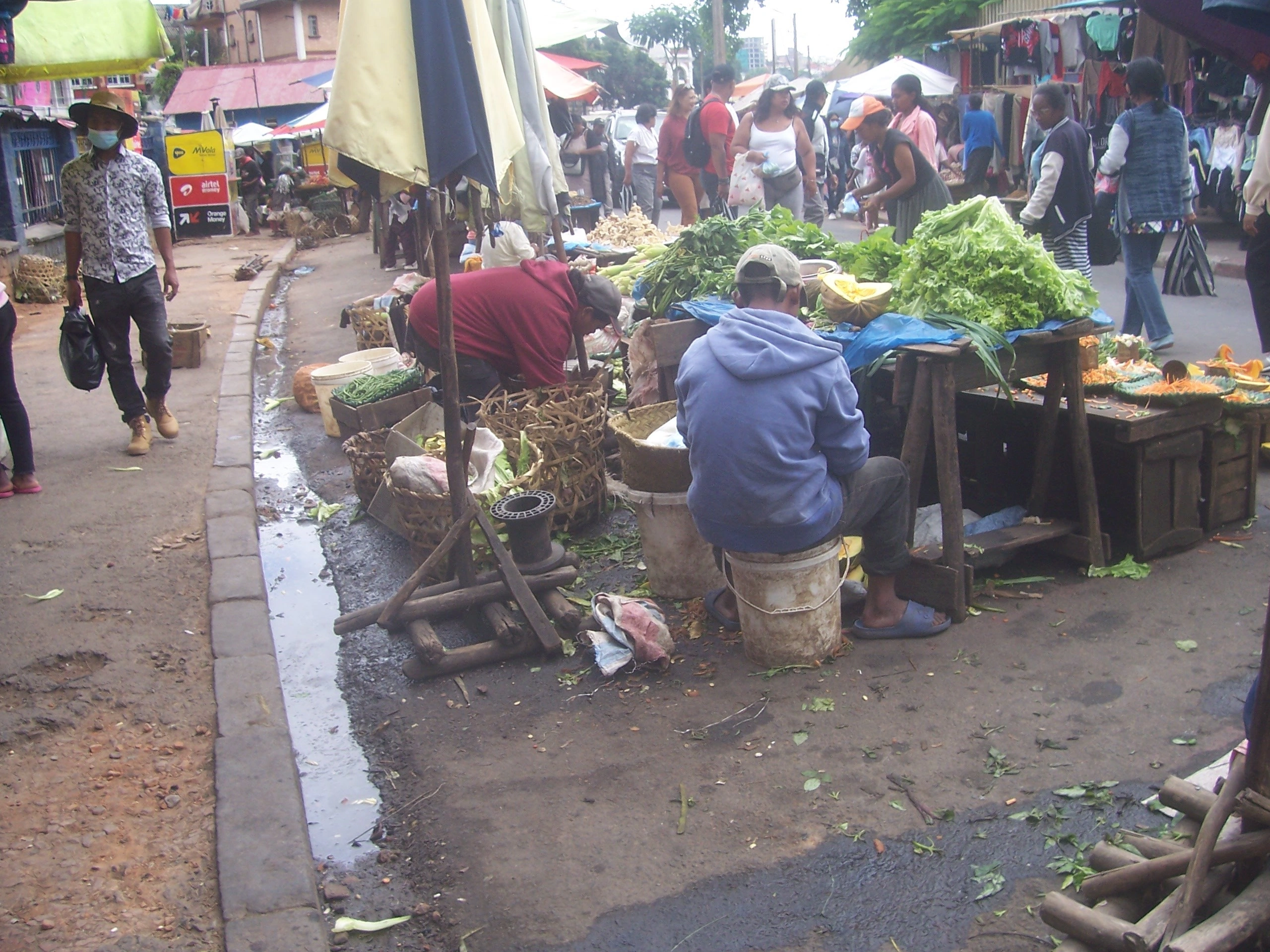 Misy ny mailo dia efa manao arovava sy orona
