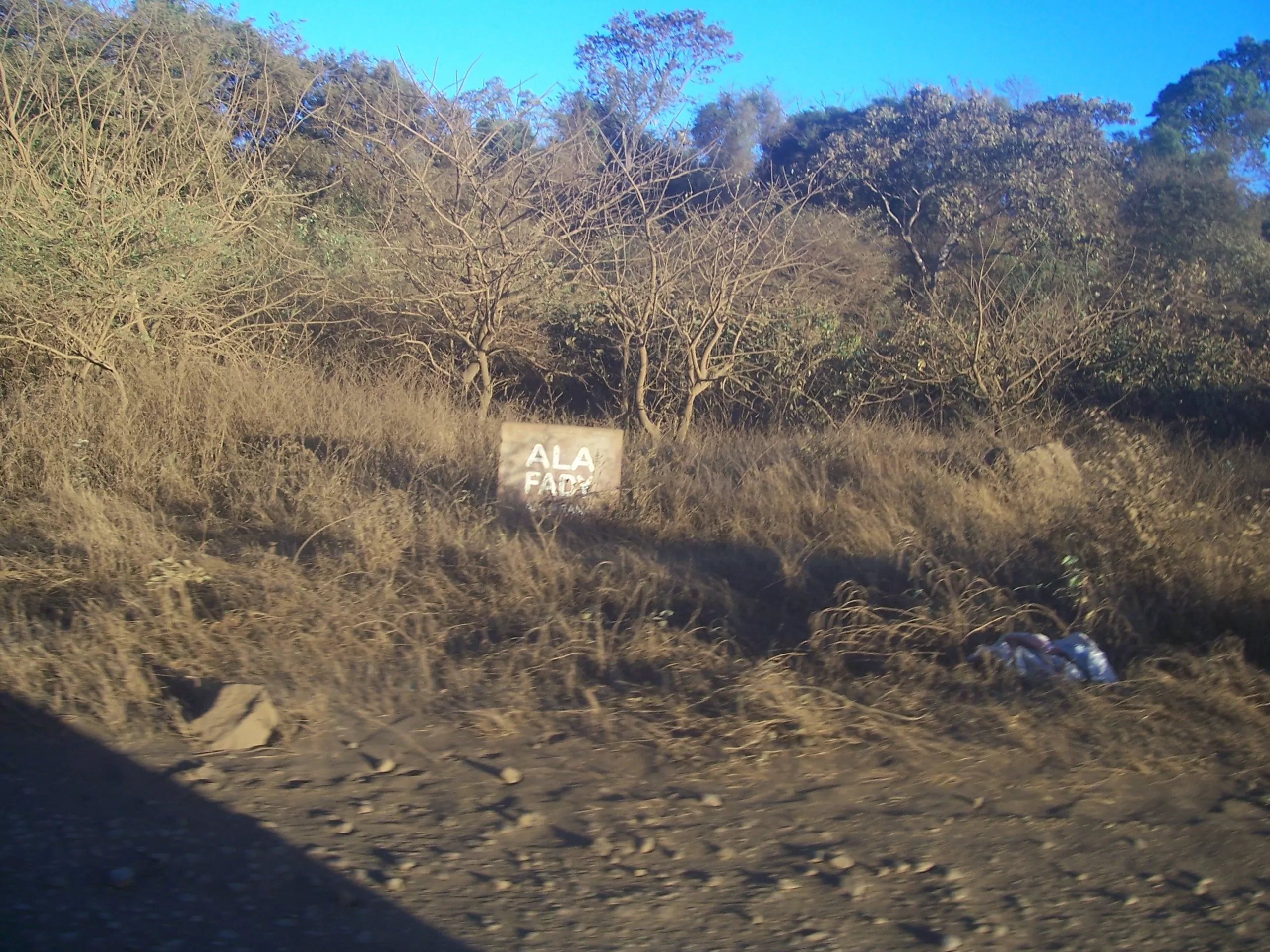 Description de l'image