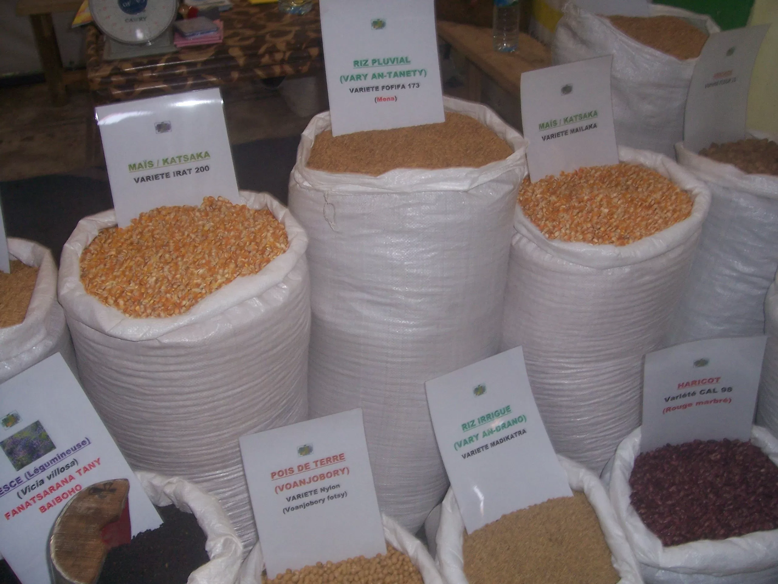 Description de l'image