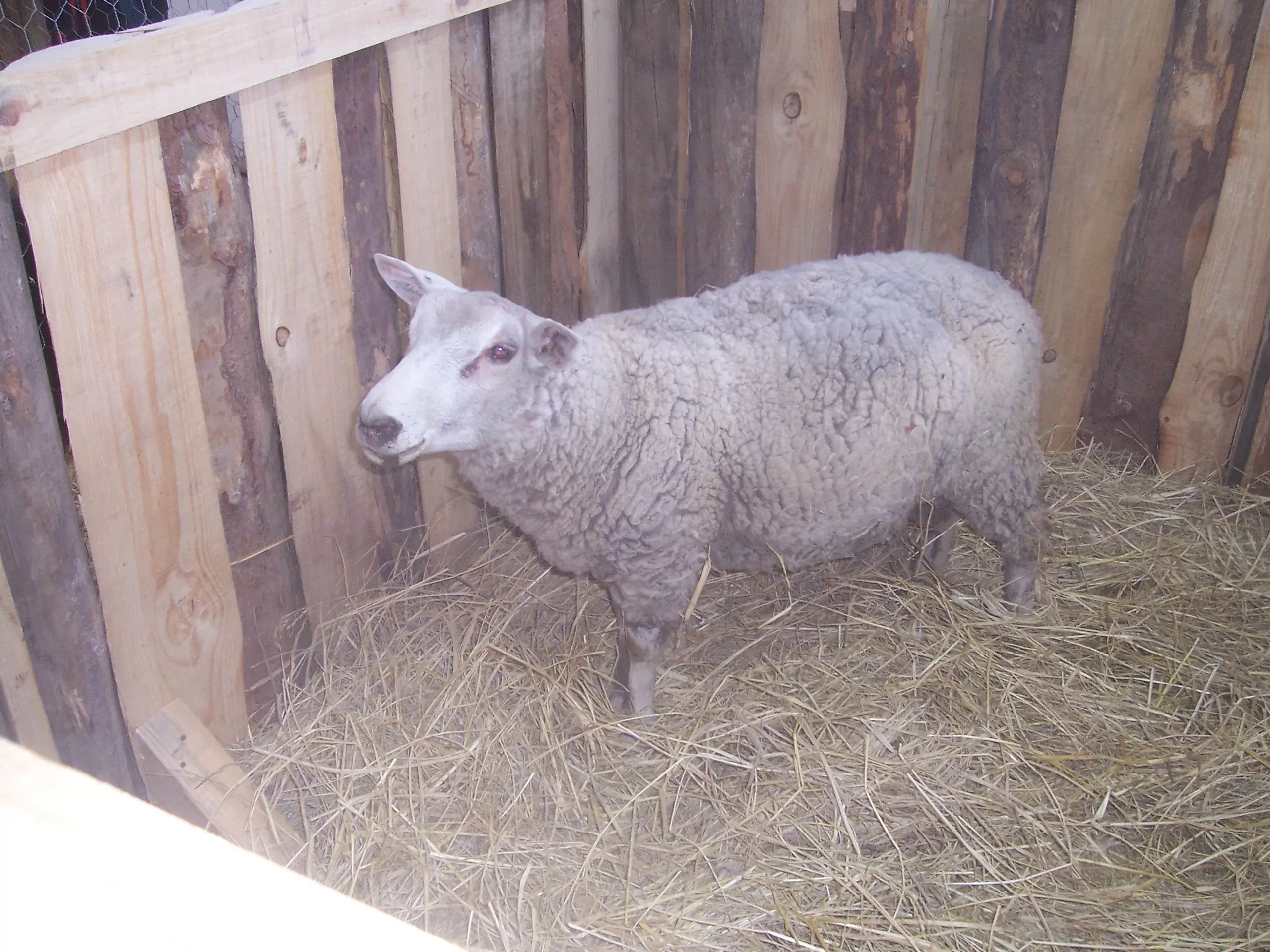 Description de l'image