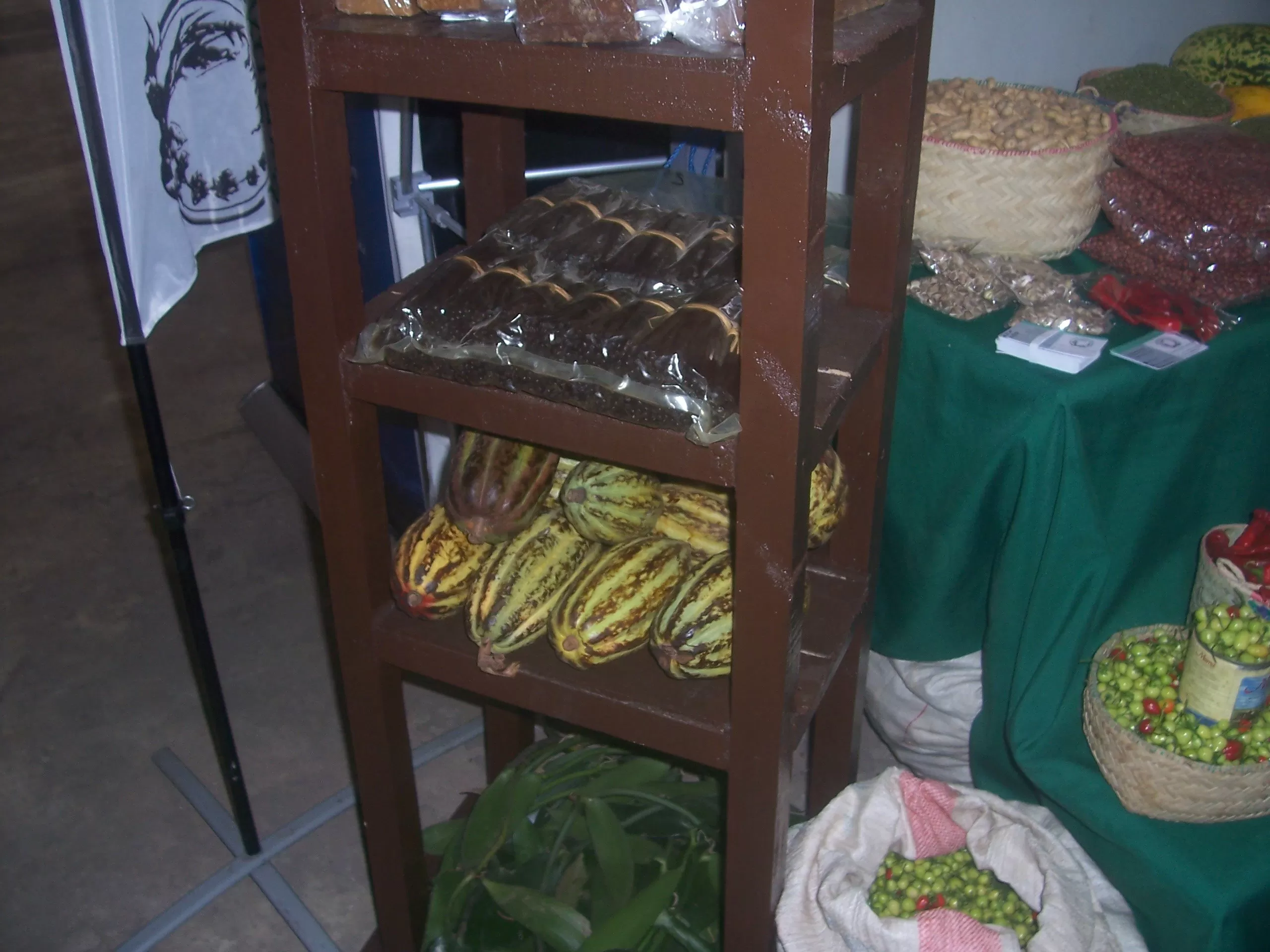 Description de l'image