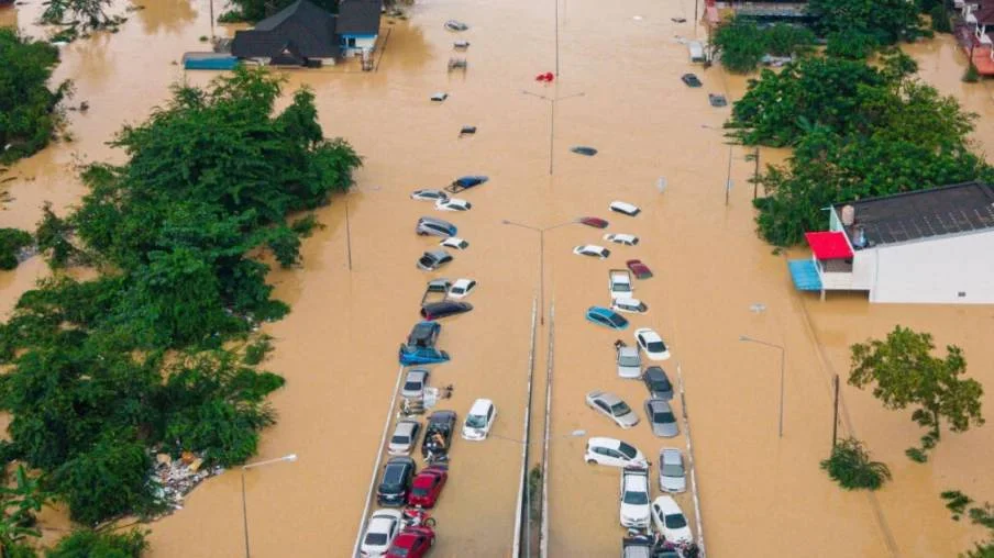 Description de l'image