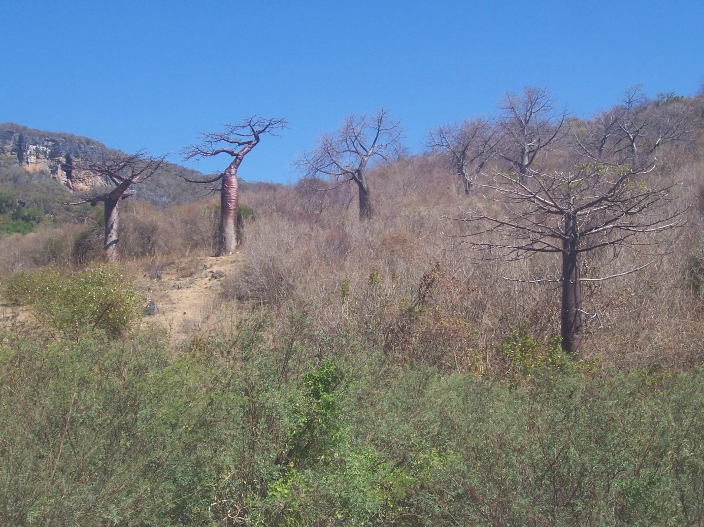 sites_touristiques_merveilleux