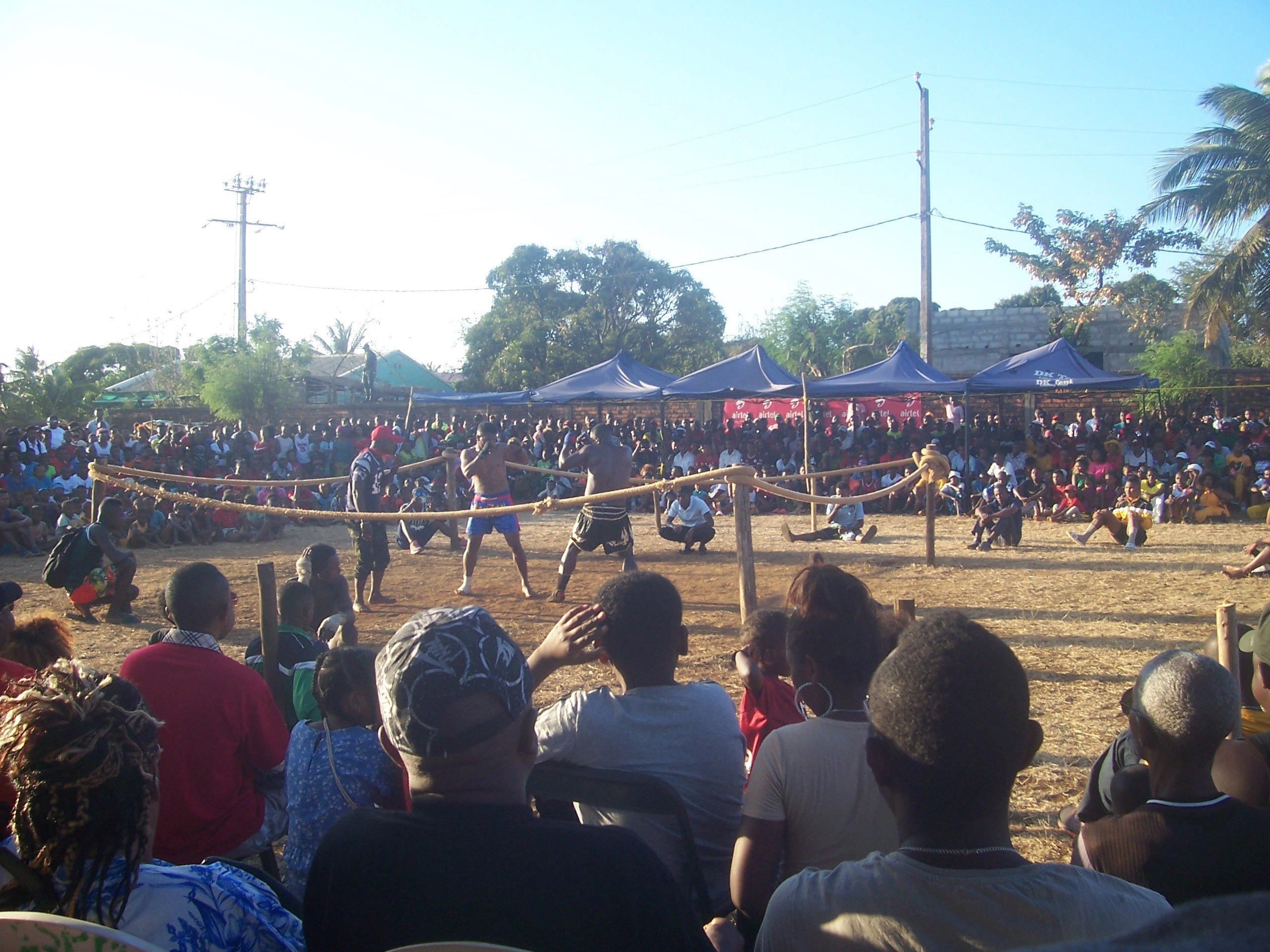 Description de l'image