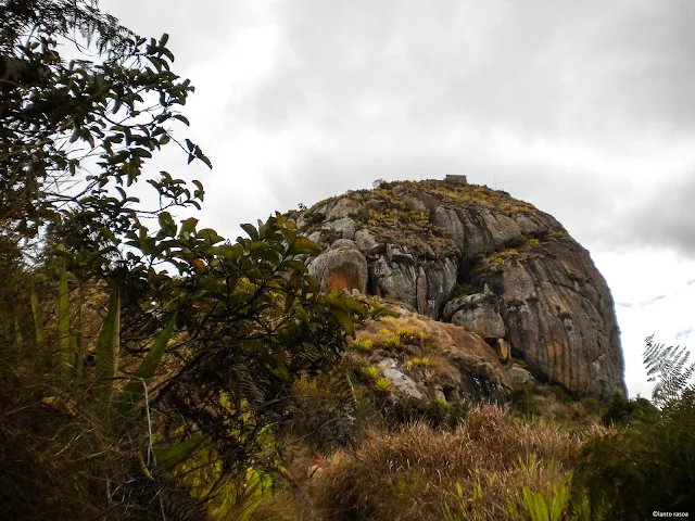 Antongona – patrimoine malagasy