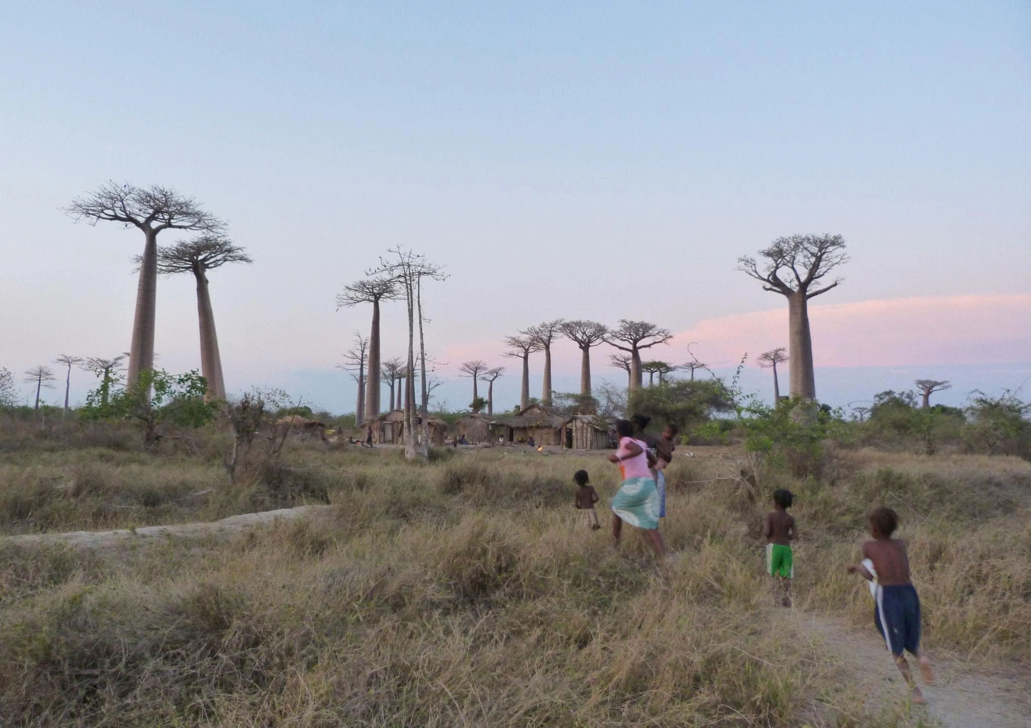 Madagascar écotourisme 2026