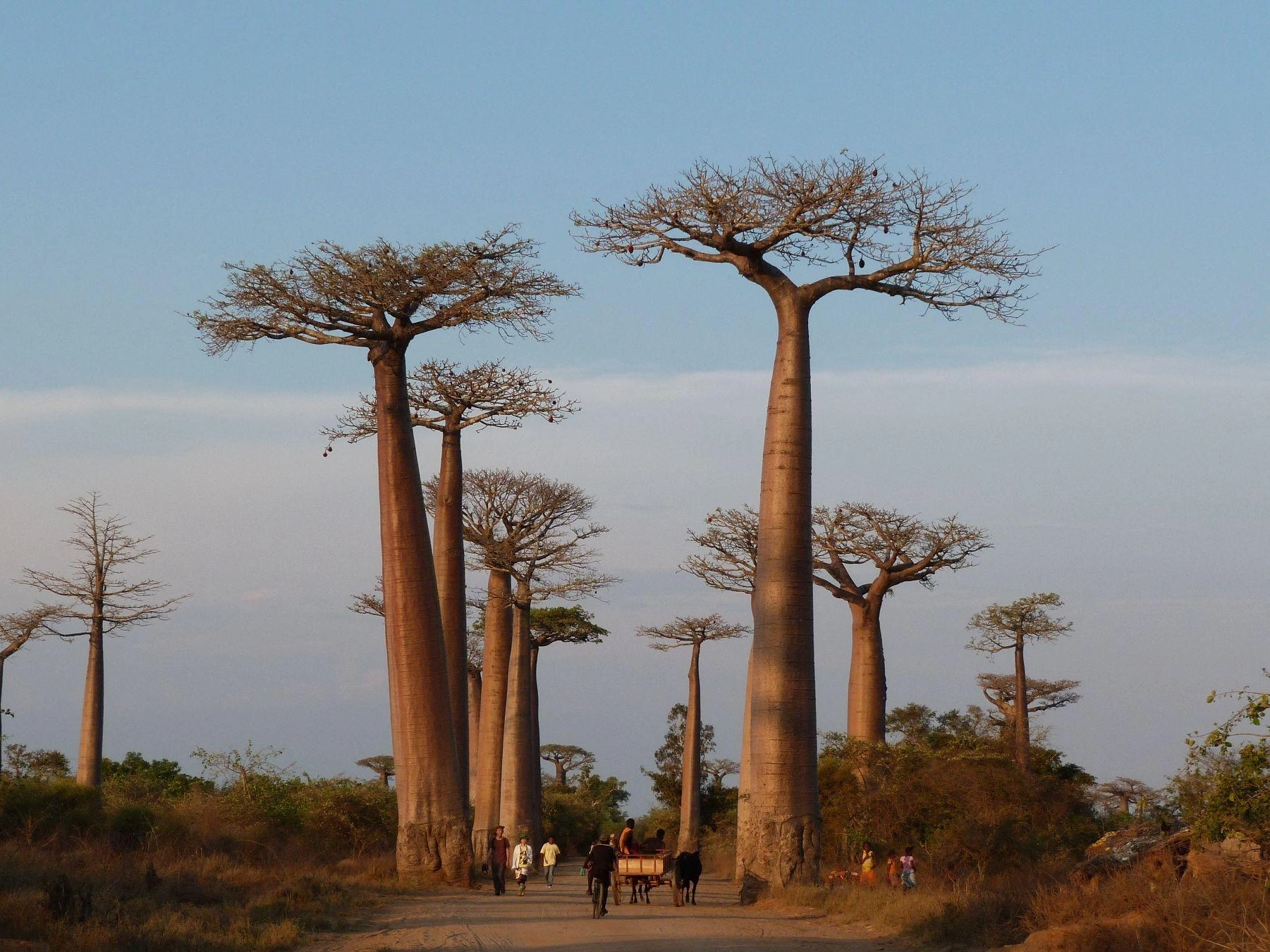 Voandalana Ami du Voyageur - tourisme malagasy