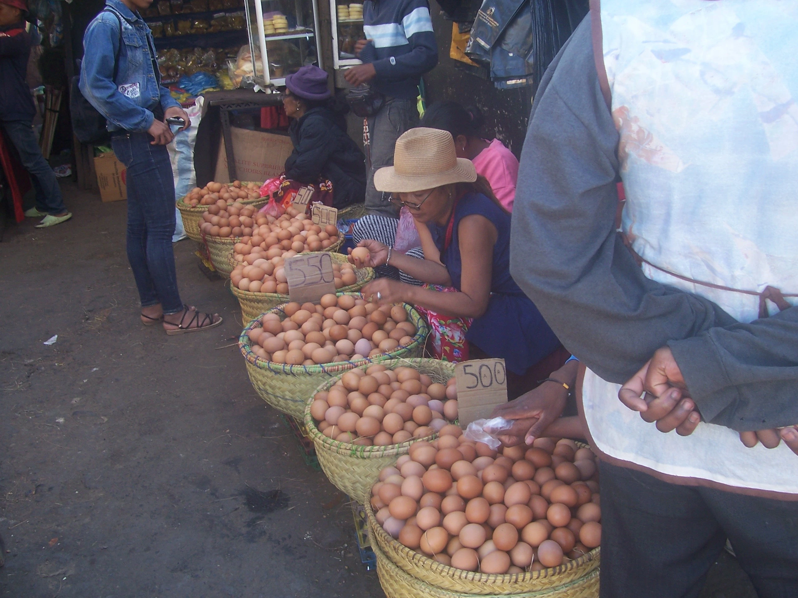 Description de l'image