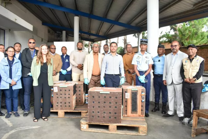 Description de l'image