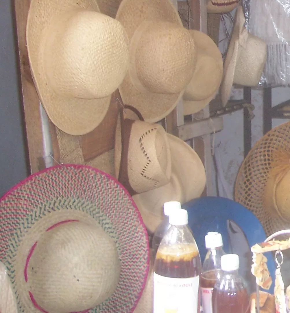 Description de l'image