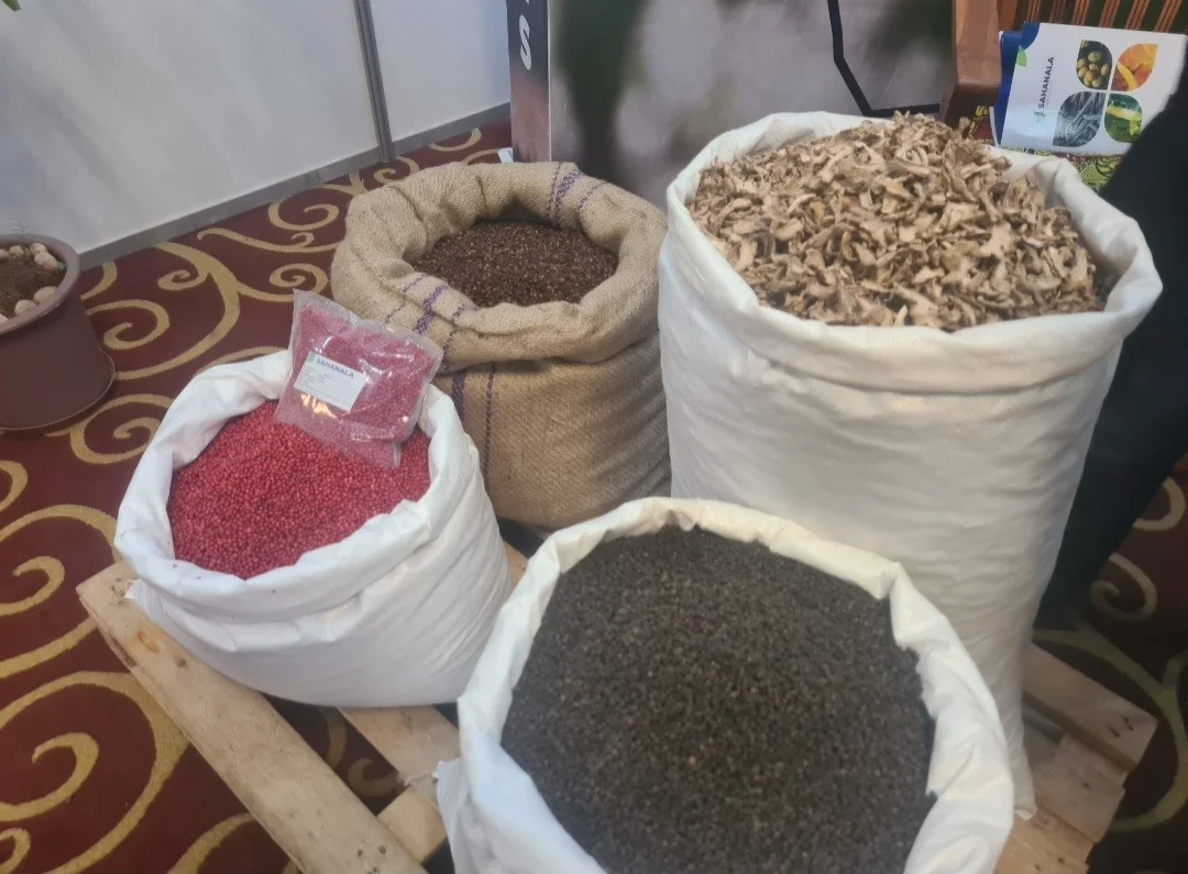 Description de l'image