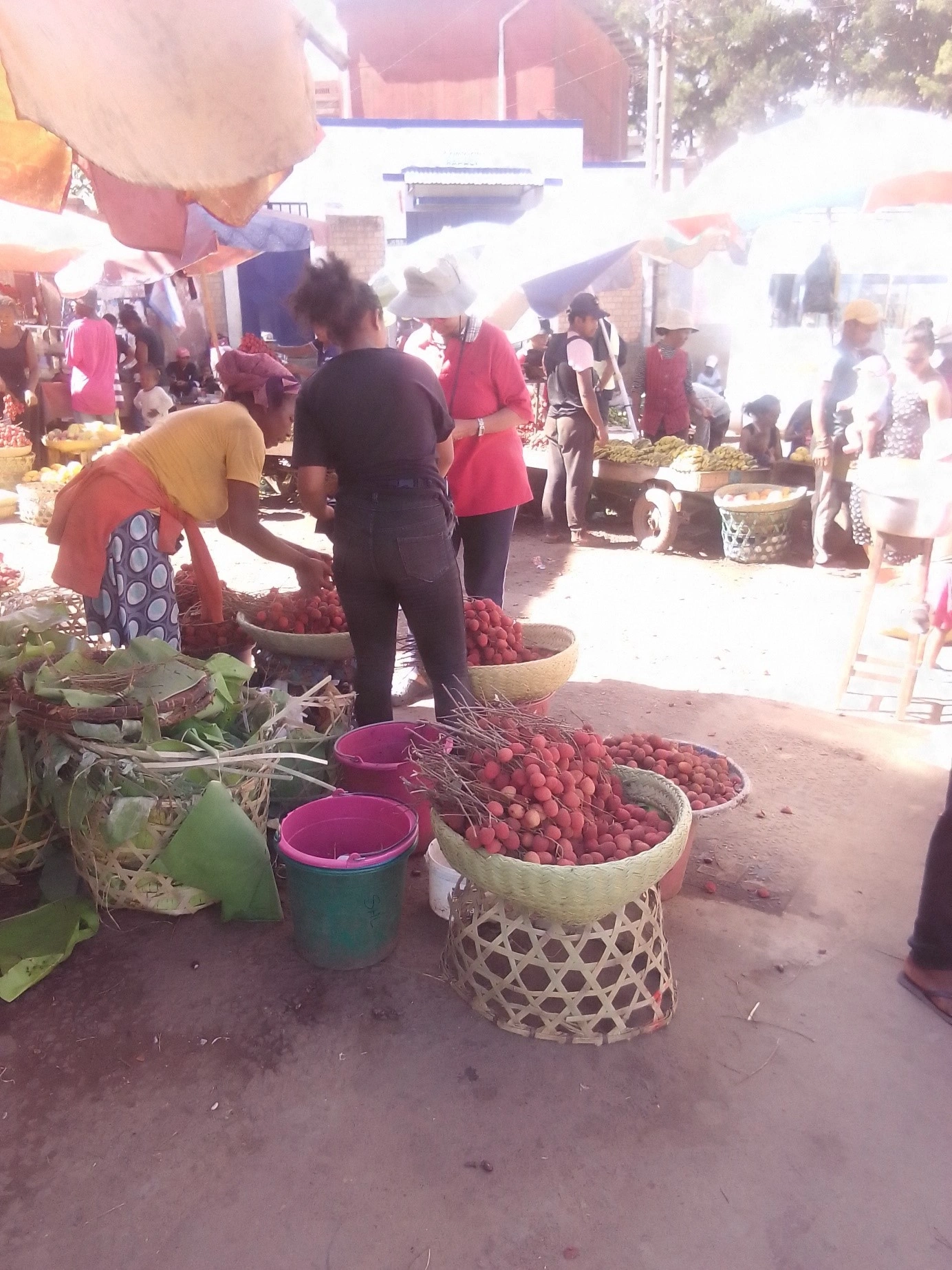 Description de l'image