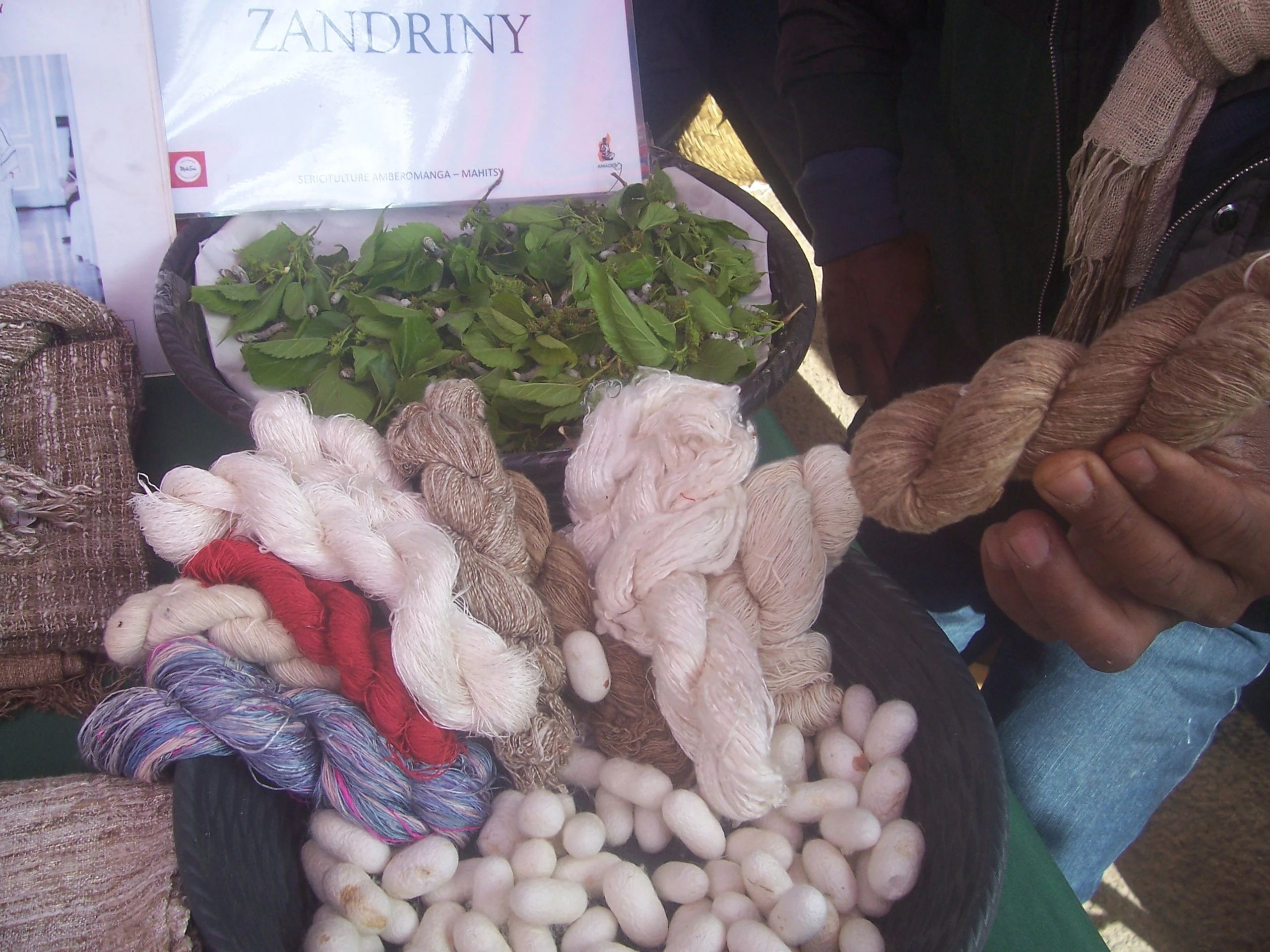 Description de l'image