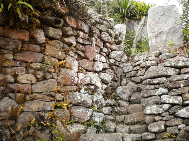 Antongona – nature Imamo