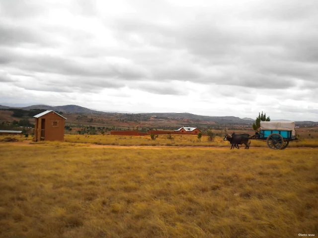 Antongona – paysage Imamo