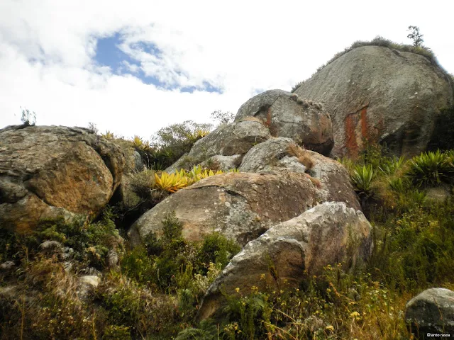 Antongona – chemin d'accès