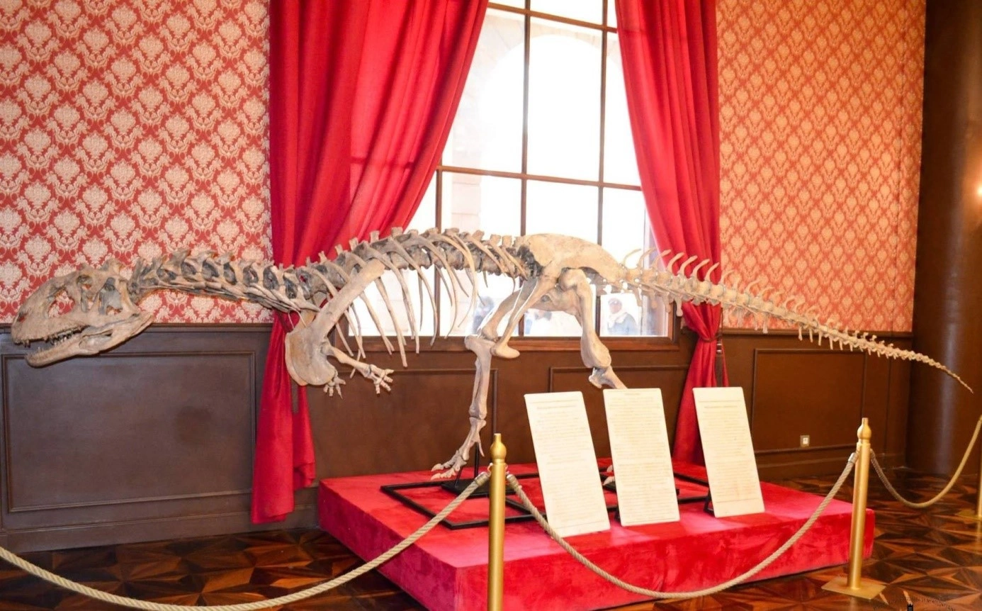 Les dinosaures de Madagascar