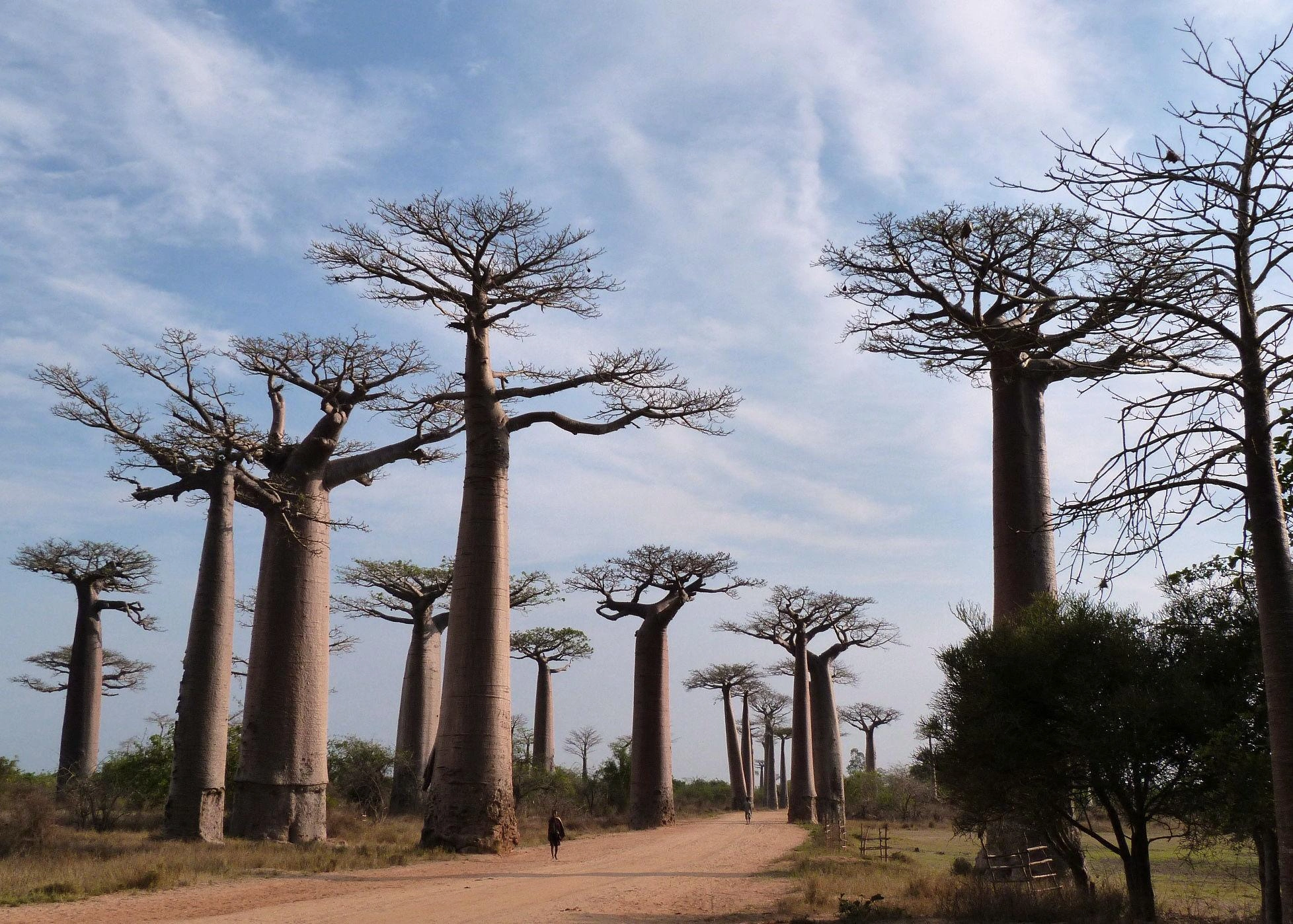 Tourisme équitable et conservation à Madagascar