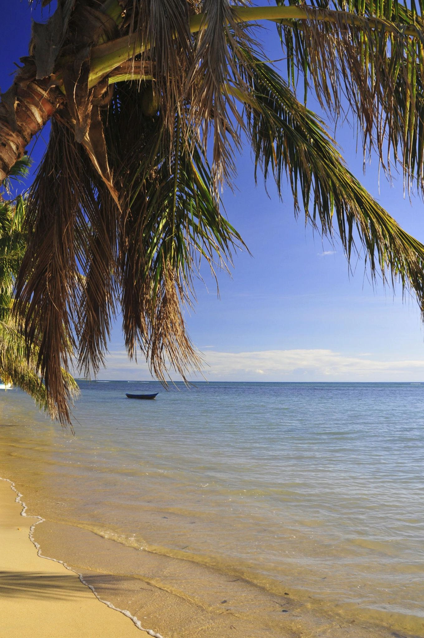 Préservation marine — Sainte-Marie Madagascar