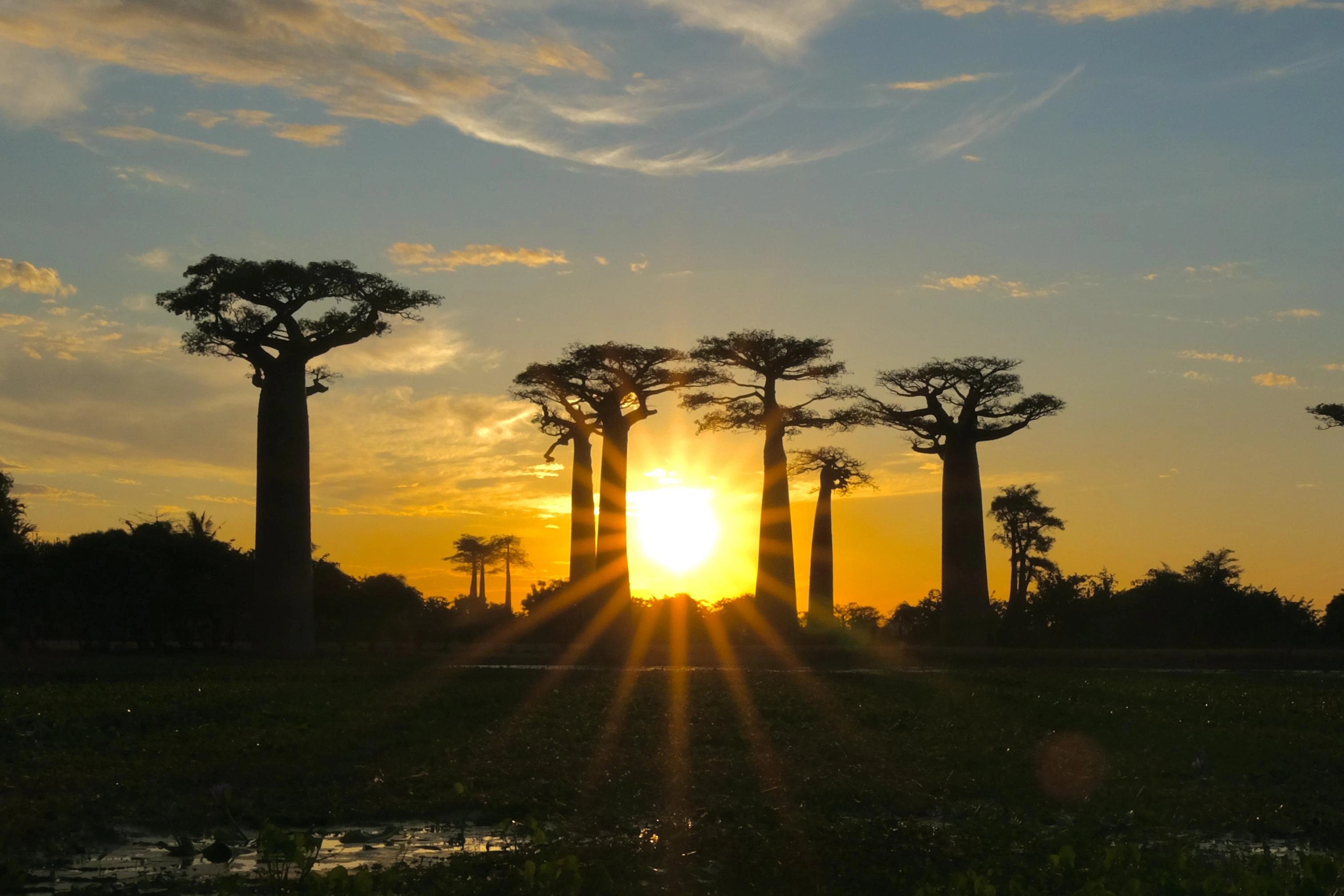 IHM 2026 — Asa tanana malagasy