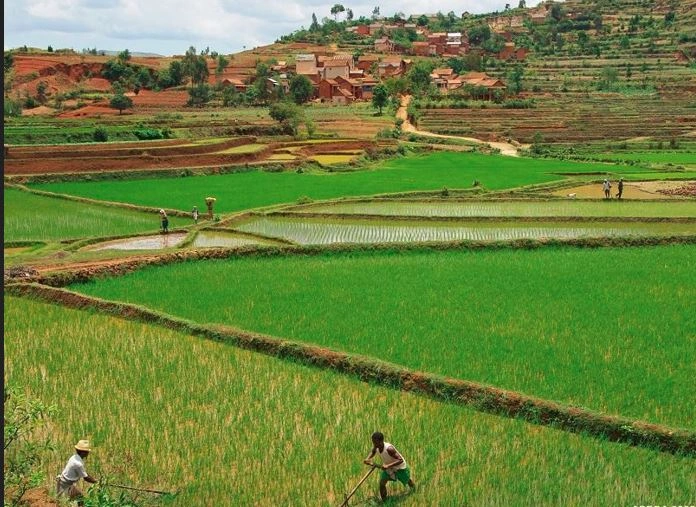 Joro Betsimisaraka – cérémonie côte est Madagascar