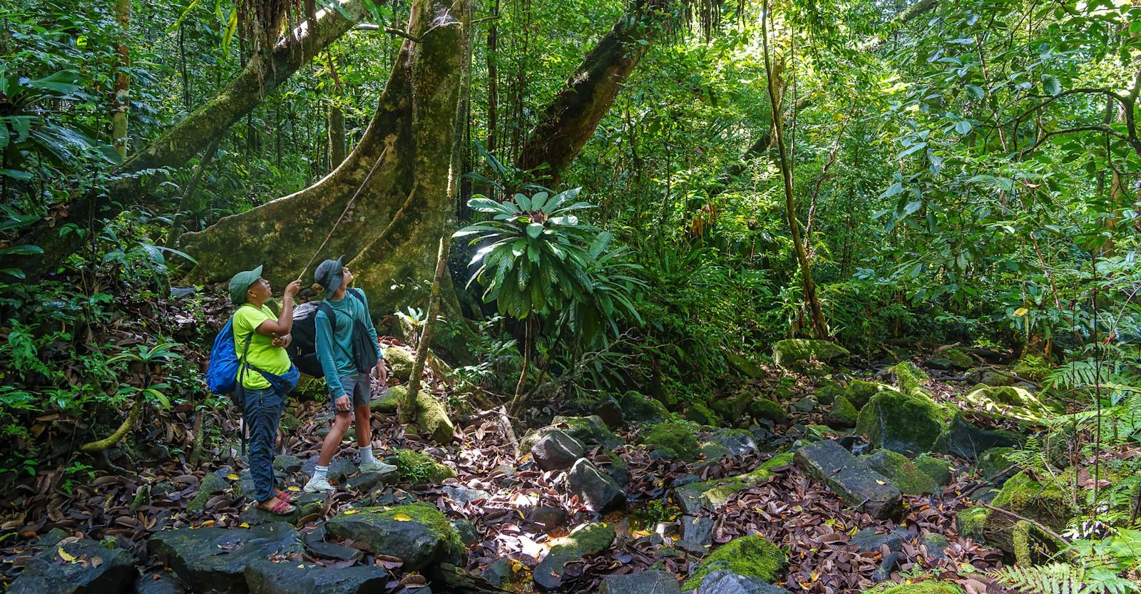 Tourisme Madagascar