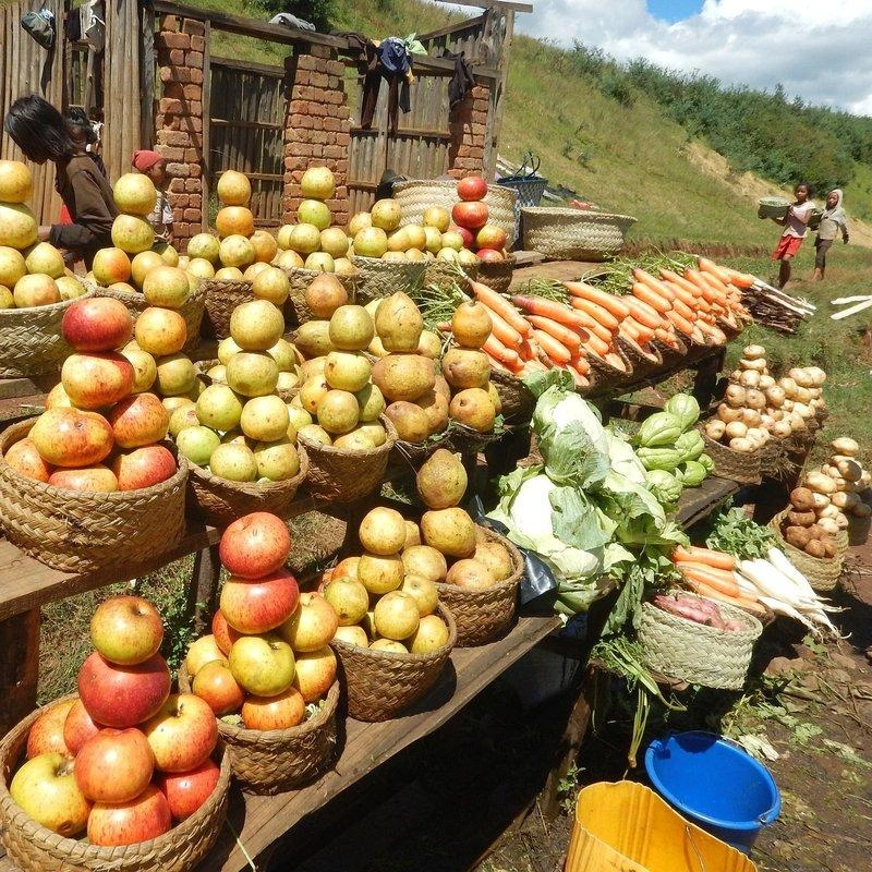 Producteurs et artisans du Vakinankaratra à la foire Vak'Ranty