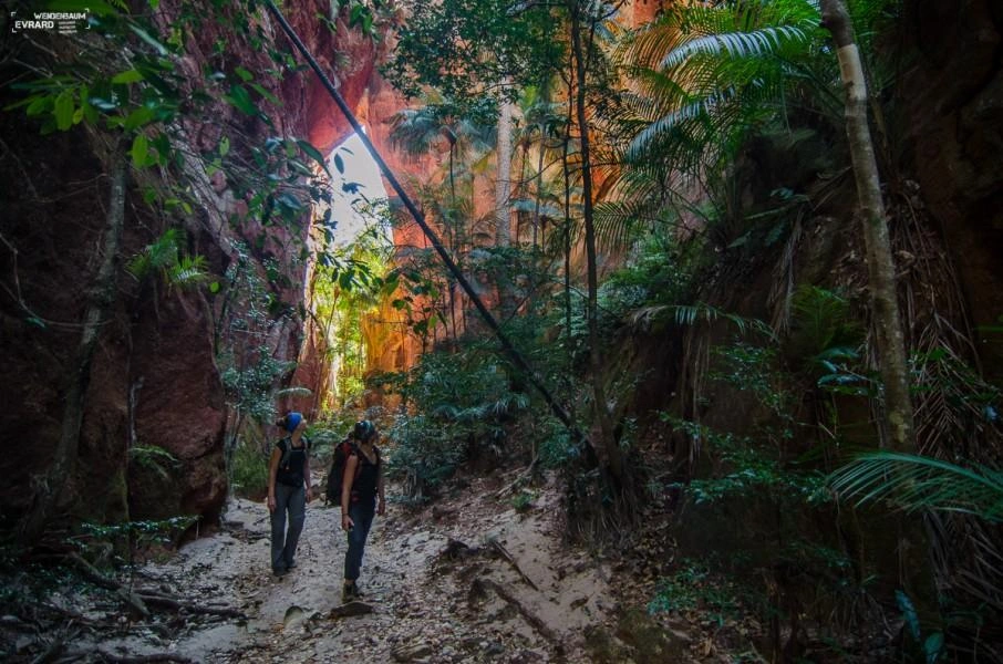 Massif du Makay — reliefs et canyons de Madagascar
