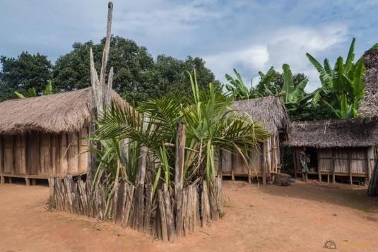 Fanolorana fanatitra sy famonoana omby amin'ny Tsaboraha